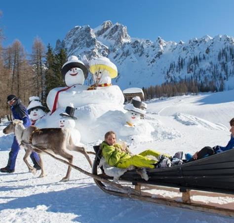freizeit-winter-rentiere-016-s-dolomiten-photogruener